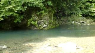 CIMG0597.AVI