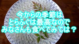 漁師の刺身❕高級魚とらふぐのてっさに挑戦⁈超意外な出来上がりにビックリ！刺身アートできちゃった