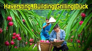 Building a Traditional Oven and Grilling Duck | Daily Life with Ly Thi Ly