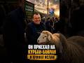 Русский мужик увидел ислам своими глазами