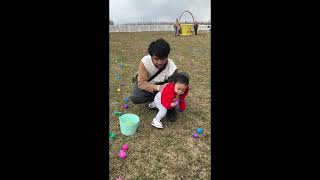 Easter Egg Hunting 2025 | Pingles Farm #family #easter