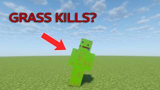 Dont Touch Grass In Minecraft