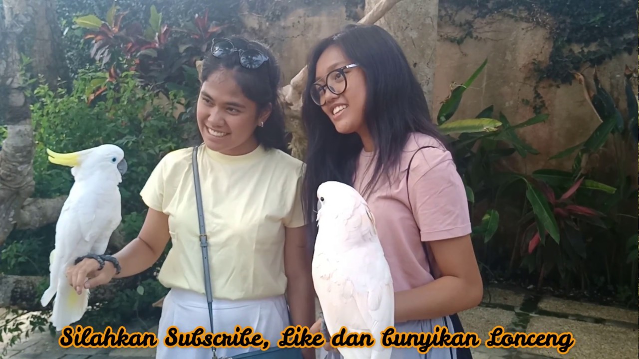 SPECIES BURUNG-BURUNG LANGKA DI BALI BIRD PARK - TRIP TO BALI PART 7