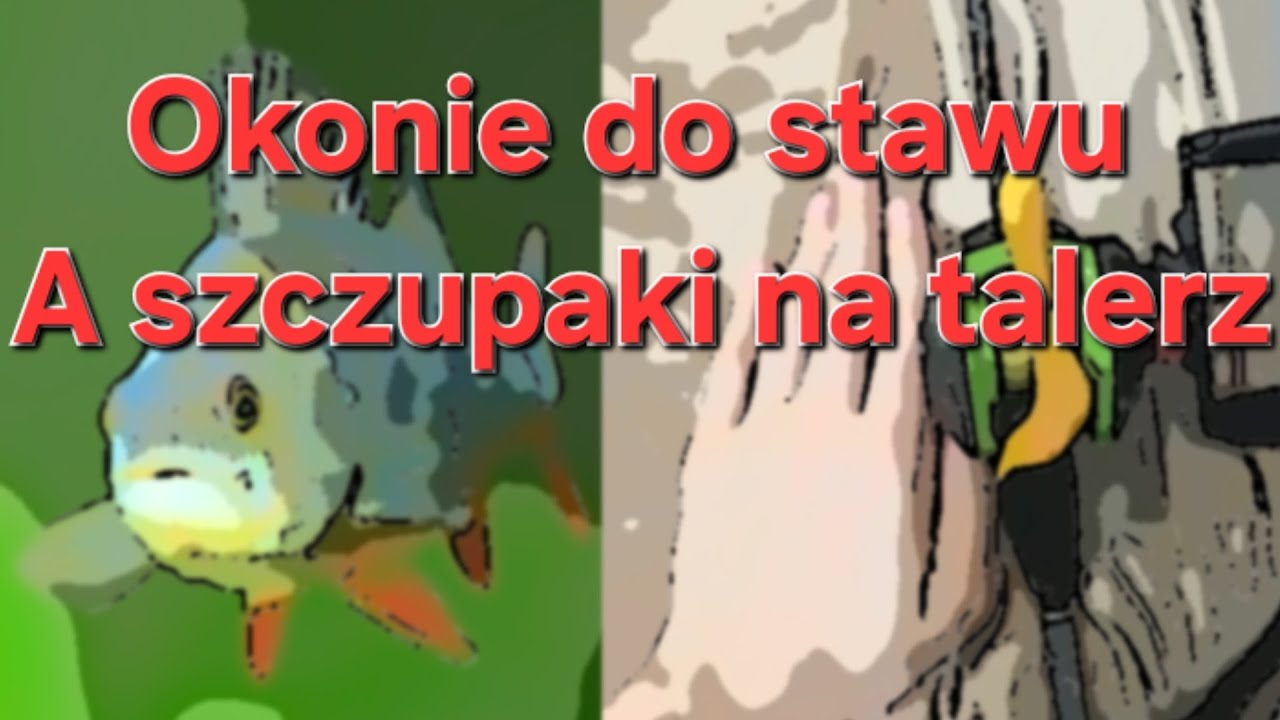 Będę łapał ryby do stawu #fishing #spinning 