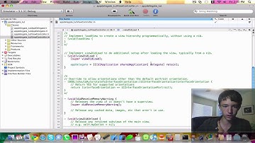 iPhone/iPad SDK - Using AppDelegate