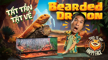 TẤT TẦN TẬT về "HOA HẬU" đến từ AUSTRALIA | Không phun lửa nhưng vẫn NGẦU: "RỒNG ÚC |BEARDED DRAGON”