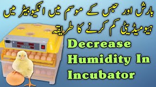 How to Decrease Humidity in Incubator | Incubator Temperature Humidity