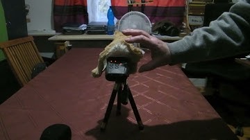 Fun with Field Recording and Sound Design Part 3