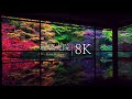 【京都一美しい庭園】瑠璃光院の紅葉絶景 - Kyoto in 8K