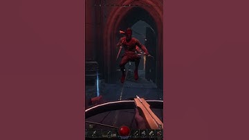 Dungeonborne Swordmaster Massacre
