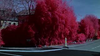 Digital Aerochrome Test 5