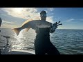 ❗️ REDFISH FEAST ❗️Yankeetown, Florida ❗️