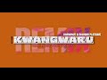 HARMONIZE & PLATNUMZ - KWANGWARU ( 2022 REMIX )