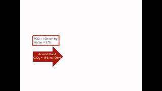 OxyHb dissociation curve to calculate blood oxygen content