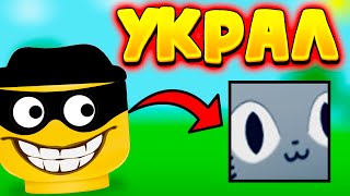 Стал Скамером На 24 ЧАСА в PET SIMULATOR! Скамлю на ХУГА #roblox