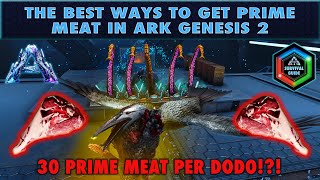 The Best Ways to get Prime Meat in Ark Genesis 2 or Any Ark Map