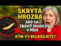 Skrytá hrozba: Ako sa zbaviť škodcov v pôde, kým vy relaxujete? Metóda pre lenivých.