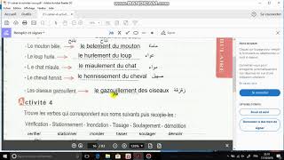PAGE 18 ET 19 du cahier d'activité 5ap حل الصفحة