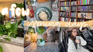 spend a cozy week with me 🌷 spring days, lots of baking, crafting updates, + reading new releases
