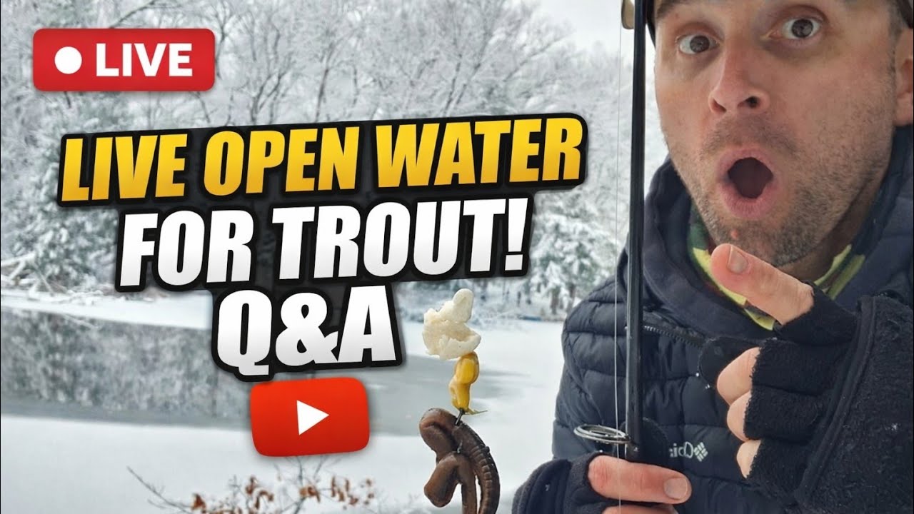 Live Fishing For Rainbow Trout 🐟 Question and Answer.