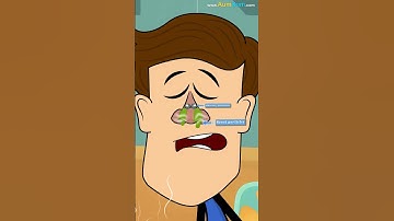 How can a Stuffy Nose cause Loss of Smell and Taste? | #aumsum #kids #shorts #science