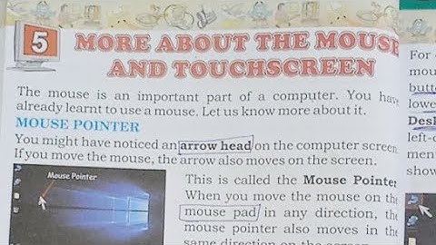 Class 3 Computer Chapter 5 More About The Mouse And Touchscreen