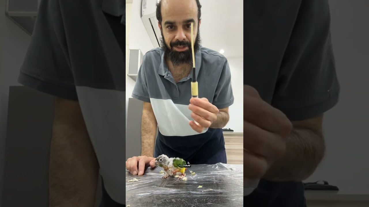 غر الكنيور خطوة خطوك كانك معي