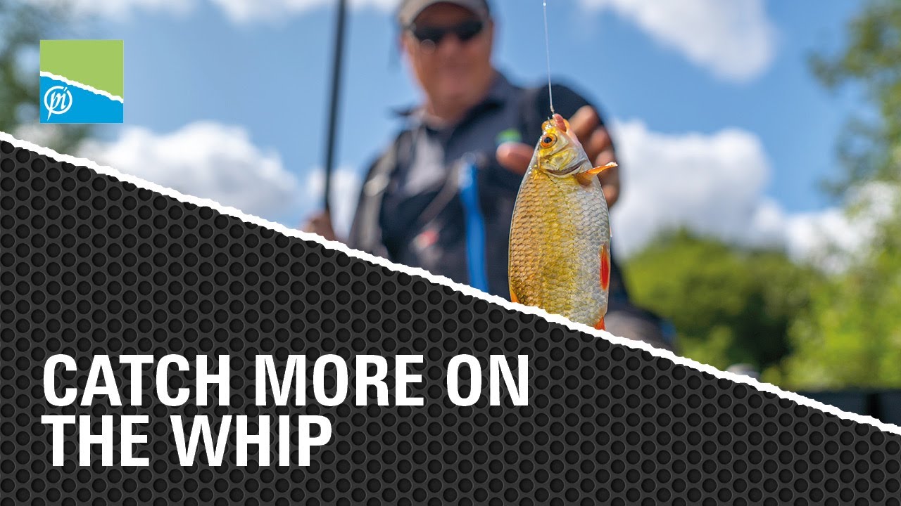 HOW TO CATCH MORE ON THE WHIP  WHIP FISHING TACTICS 