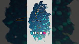 rupa sister's ❤️ #love #khushi SinghA2b