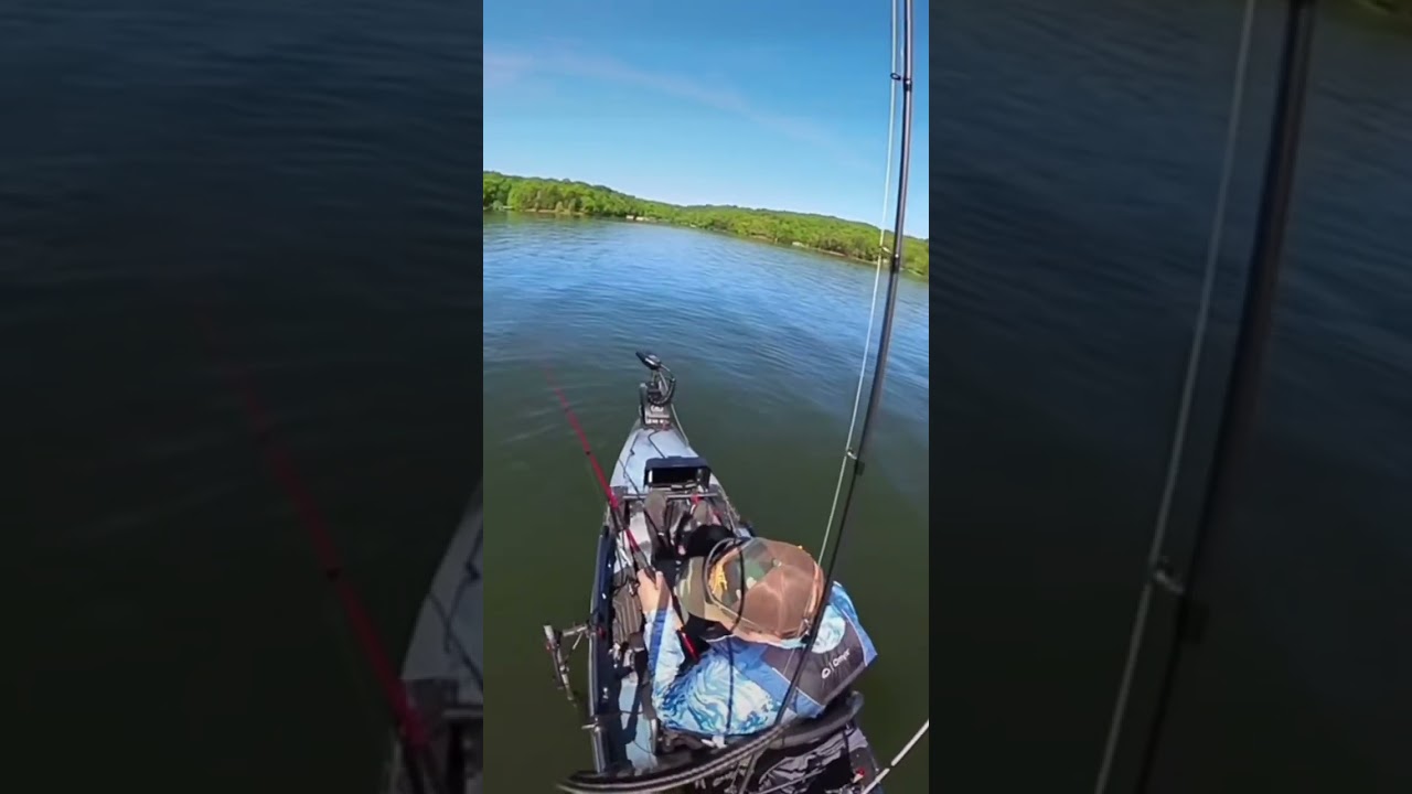 Neko rig for the wi. 