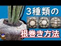 庭木を移植するときの【根巻き】方法[ How to roll a garden tree pot beautifully]