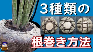 庭木を移植するときの【根巻き】方法[ How to roll a garden tree pot beautifully]