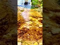 Stress Relief Meditation Music 🌿 Calm Anxiety & Relax Your Mind Fast (1 Minute) #shorts