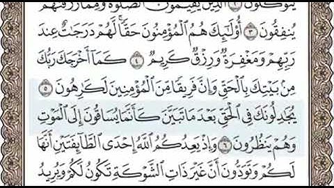 سورة الانفال الصفحة 177 الشيخ محمد صديق المنشاوي