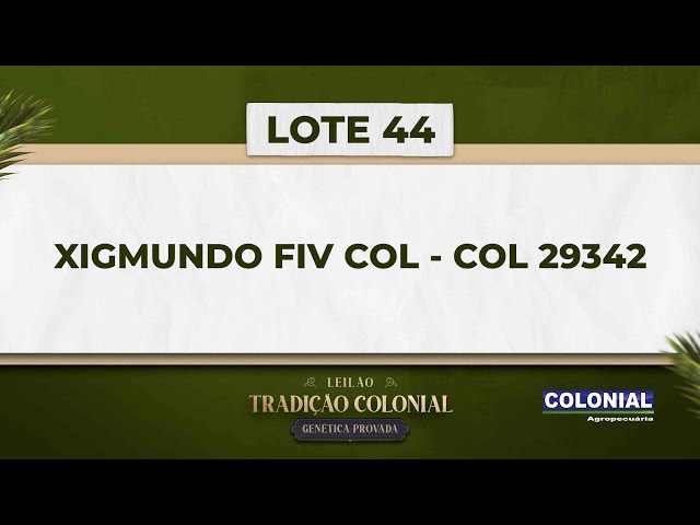 LOTE 44   COL 29342   XIGMUNDO FIV COL