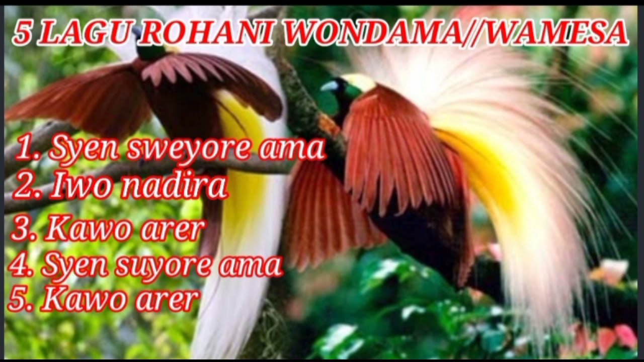 LIMA LAGU ROHANI WONDAMA WAMESA 2021.