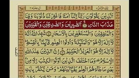 سوره آل عمران با ترجمه اردو / سوره شماره 3 / مشاری رشید الفاسی