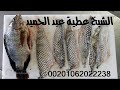 طلسم تسليط المرض وهلاك الظالم الشيخ عطية عبد الحميد 00201062022238 للمتابعة وتس اب 