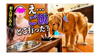 【アメリカ家族の休日】みんなで買い出しからの至福の焼肉そして愛犬への裏切り！