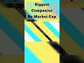 Richest Companies 2023 (BIGGEST COMPANIES by market cap 2022) #top10 #richest #shorts
