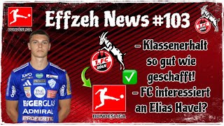 1. FC Köln Klassenerhalt nahezu perfekt! + Interesse an Ösi-Stürmer Elias Havel? Effzeh News #103