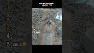Ranking the Funniest Moments 😂 #funny #trynottolaugh
