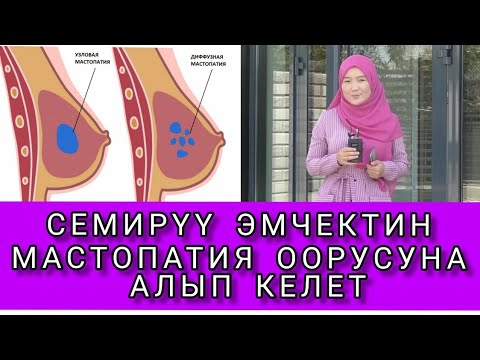 Video: Capstone симуляциясы деген эмне?