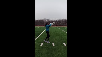 RACHEL SNEED Full Visual Assignment 2/10/2018