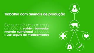 CFMV Explica: Saúde Única