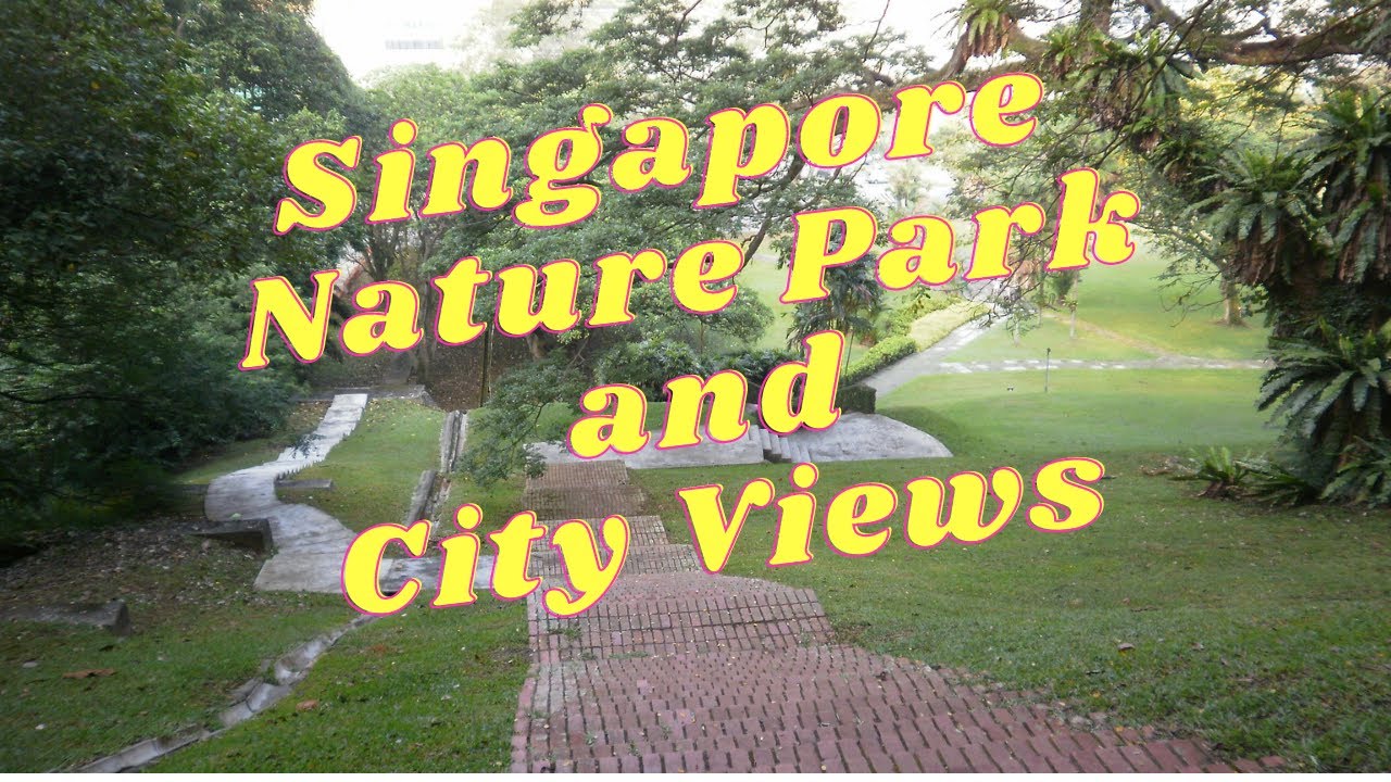 Singapore Nature Park and City Views 2010