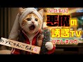 【緊急】あの夢の場所へ！AI猫にゃんこちん、一体どうなる？！