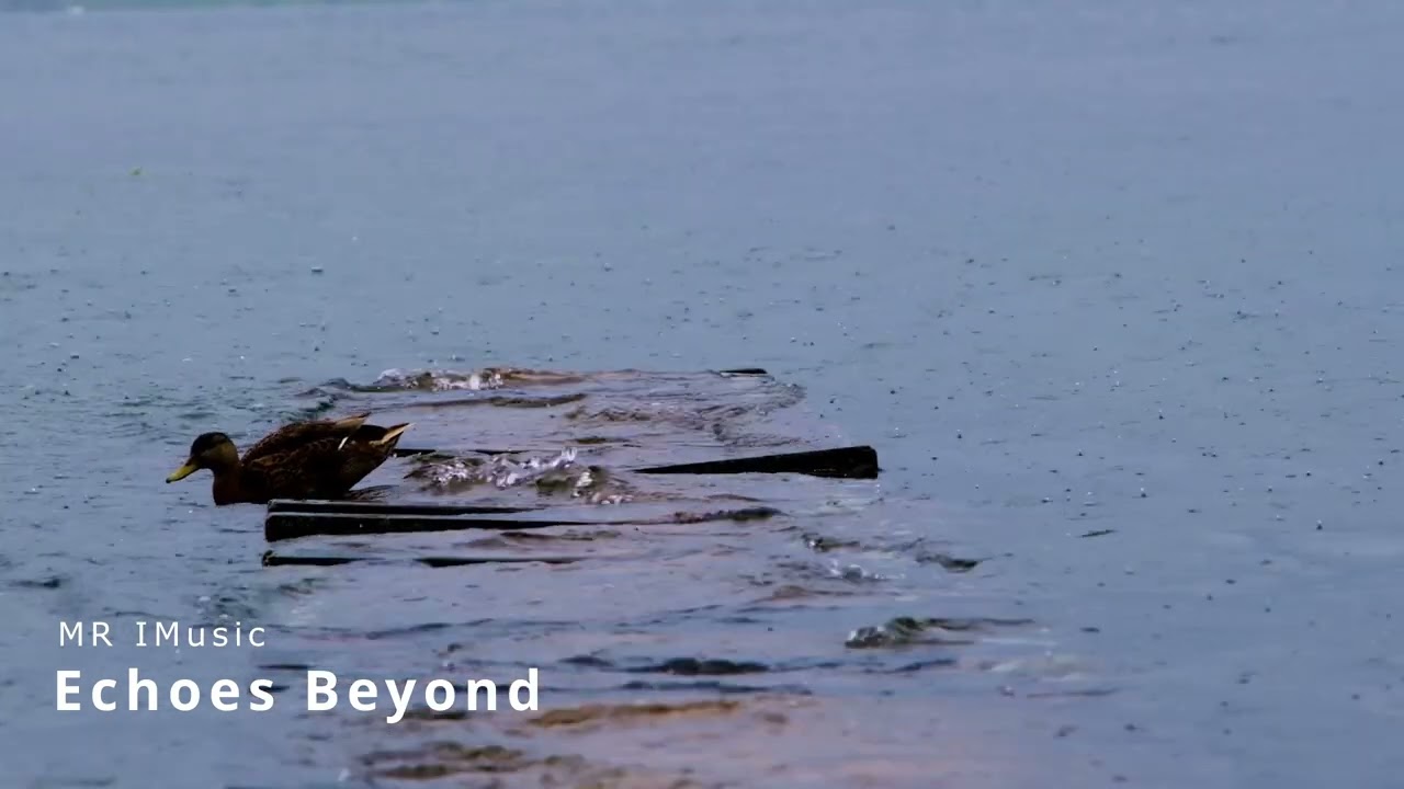 Echoes Beyond - mrimusic