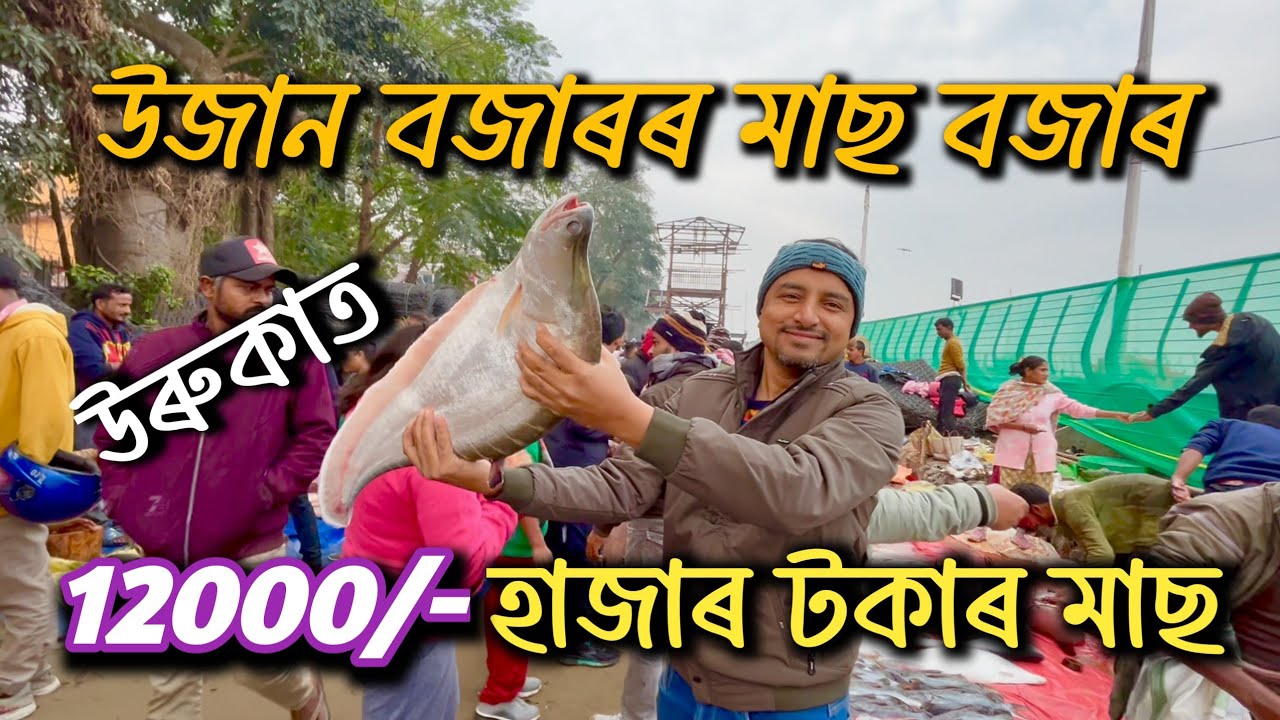 উজান বজাৰৰ মাছ বজাৰ | 12000 হাজাৰ টকাৰ মাছ | Bhogali Bihu 2025 | Magh Bihu 2025 