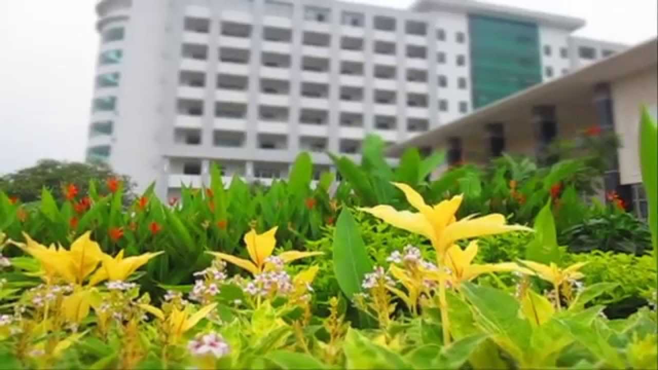 ICHA 2014 - TÂM MIN